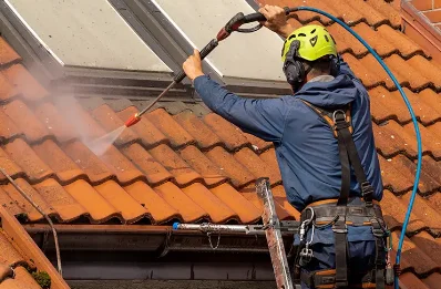 Démoussage et hydrofuge de toiture à Carcanières